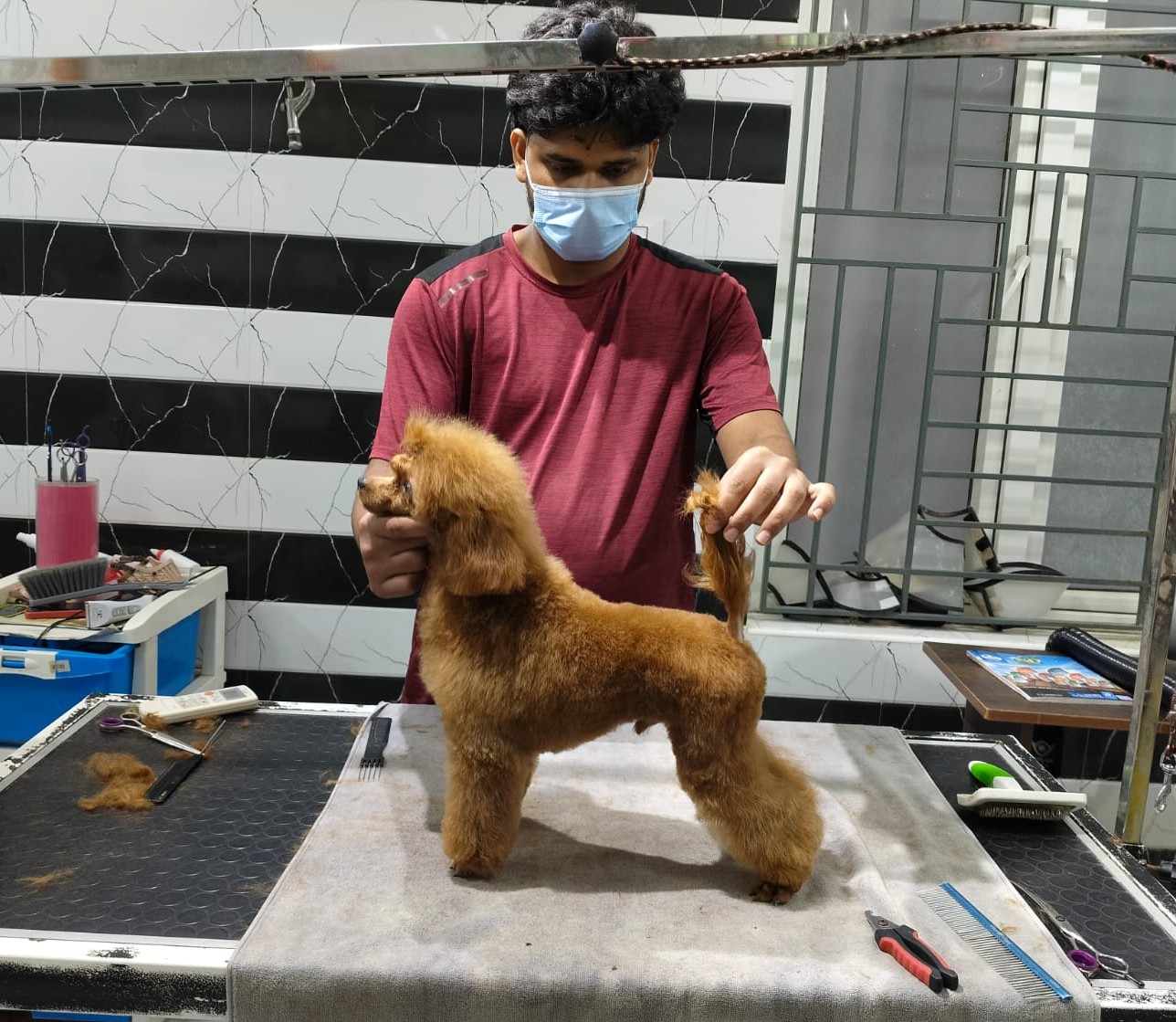 Dog boarding